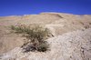 Montanhas - Leste Hajar